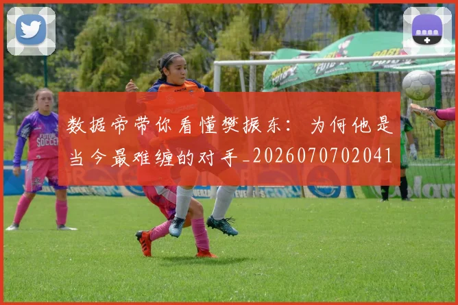 数据帝带你看懂樊振东:为何他是当今最难缠的对手_20260707020413_20260731165647